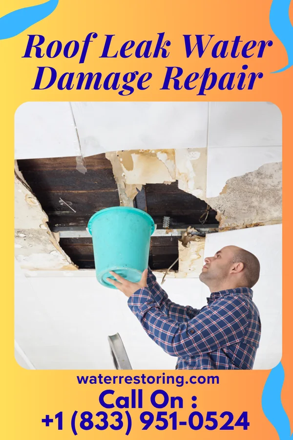 Roof Leak Water Damage Repair in Elkland, PA