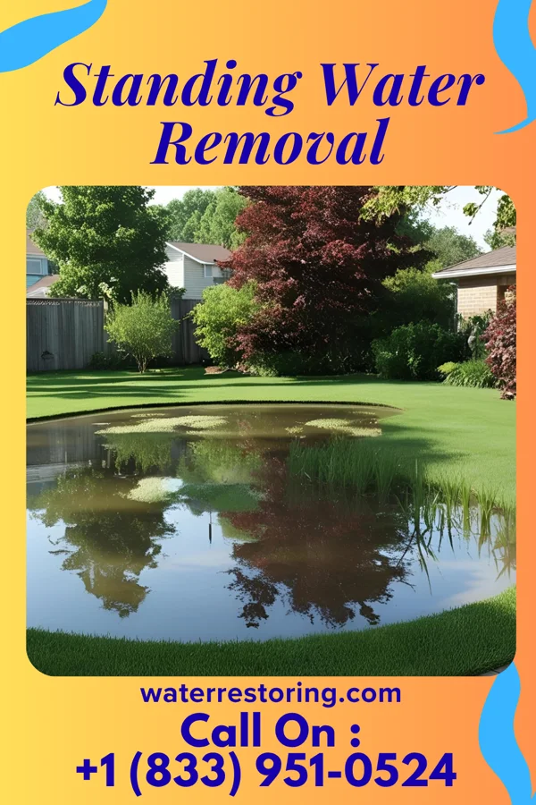Standing Water Removal in Elkland, PA